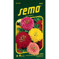Zinnia elegans / Cínia ´GEANT DE CALIFORNIA´, bal. 0,7 g
