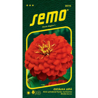 Zinnia elegans / Cínia ´CHERRY QUEEN´, bal. 0,7 g