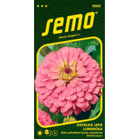 Zinnia elegans / Cínia ´LUMINOSA´, bal. 0,7 g