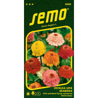 Zinnia elegans / Cínia ´SKABIOSA´, bal. 0,6 g
