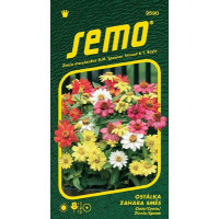 Zinnia elegans / Cínia ZAHARA MIX, bal. 15 s.