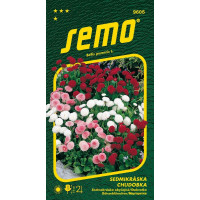 Bellis perennis / Stokráska obyčajná ´PLNOKVETÁ ZMES´, bal. 0,2 g