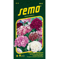 Dianthus barbatus / Klinček bradatý ´ZMES´, bal. 0,5 g