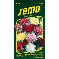 Dianthus caryophyllus / Klinček záhradný ´GRENADIN´, bal. 0,4 g