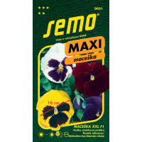 Viola x witrockiana / Sirôtka veľkokvetá XXL F1, obrie kvety, bal. 15 s.