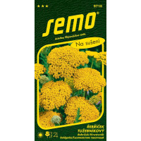 Achillea filipendulina / Rebríček ´CLOTH OF GOLD´, bal. 0,1 g