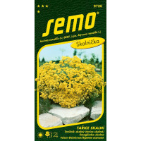 Aurinia saxatilis / Tarica skalná ´GOLD CLOUD´, bal. 0,4 g