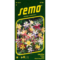 Aquilegia x hybrida hort / Orlíček ´MAC KANA´, bal. 0,2 g