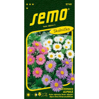 Aster alpinus / Astra alpínska ´ZMES FARIEB´, bal. 0,7 g