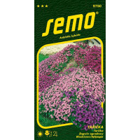 Aubrieta hybrida / Tarička ´ZMES´, bal. 0,2 g