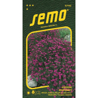 Dianthus deltoides / Klinček slzičkový ´MAIDEN PINK´, bal. 0,1 g