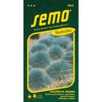 Festuca cinerea / Kostrava ´VARNA´, bal. 0,4 g