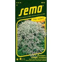 Goniolimon tataricum / Statica tatárska ´BIELA´, bal. 0,2 g