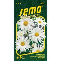 Leucanthemum max. / Margaréta veľkoúb. ´SHASTA DAISY´, bal. 0,8 g