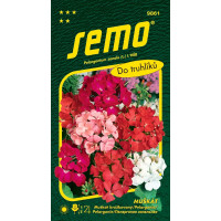 Pelargonium zonale / Muškát krúžkovaný ´ZMES´, bal. 0,05 g
