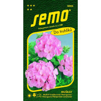 Pelargonium zonale (L.) L HĚR / Muškát krúžkovaný RUŽOVÝ, 0,05 g