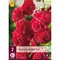 Alcea rosea ´Red´ / Topoľovka červená, bal. 2 ks, I.