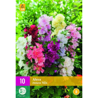 Alcea rosea / Topoľovka r. ´ZMES´, bal. 10 ks, I