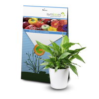 Mykorhízne huby ALGAVIT ® 100 g