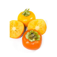 Diospyros kaki ´Cangzhou´ / Hurmi  kaki / Ebenovník rajčiakový, 60-80 cm, C5