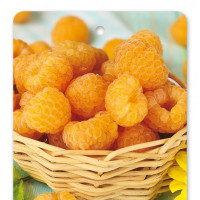 Rubus idaeus ´Jantar´/ Malina žltá, C1