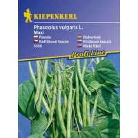 Fazuľa kríčková Maxi, bal. na 5-7m