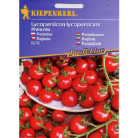 Rajčiny Philovita (Cherry rajčiny) odolné plesni, bal. 5 sem.