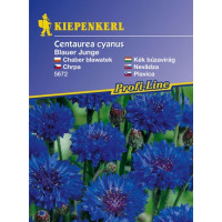 Centaurea Blauer Junge / Nevädza, bal. na 60 r.