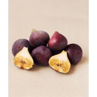 Ficus carica ´Brown Turkey´ / Čiernoplodý figovník, 60-80 cm, C2