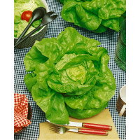 Šalát hlávkový pre fóliovníky ´SAFÍR ´, bal. 0,4 g