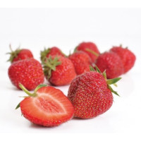 Fragaria ananassa ´Magnus´ / Stredne neskoro plodiaca jahoda, bal. 6 ks, 6xK7