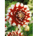 Dahlia ´Decorative Red-White´ / Georgína dekoratívna červeno-biela, I., SUPERCENA