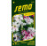 Petunia hybrida / Petúnka mnohokv. ´POZDRAV Z JAROMĚŘE´, bal. 50 tabl.