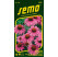 Echinacea purpurea / Echinacea purpurová, bal. 1 g
