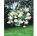 Begonia pendula ´White´ / Beg. previsnutá biela, bal. 3 ks, 4/5
