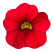Calibrachoa ´PortuCal´® Patio Red / Mnohokvetá petúnia, bal. 6 ks sadbovačov