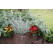 Helichrysum angustifolia BIO / Curry bylinka, K12