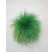 Festuca ovina / Kostrava, K9