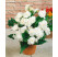 Begonia double ´White´ / Begónia veľkokvetá biela, bal. 2 ks, 4/5, SUPERCENA