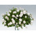 Pelargonium pelt. ´pac®White Pearl´ / Muškát, bal. 6 ks, 6xK7