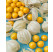 Physalis peruviana ´Goldvital´® / Peruánska čerešňa, mladá rastlina, K7