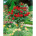 Rosa ´Chrysler Imperial´ / Ruža čajohybrid, KMIENOK 120 cm, BK