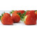 Fragaria ananassa ´Saga´ / Stredne skoro plodiaca jahoda, bal. 6 ks, 6xK7