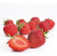 Fragaria ananassa ´Senga Sengana´ / Stredne skoro plodiaca jahoda, bal. 6 ks, 6xK7