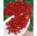 Ribes rubrum ´Jonkheer van Tets´ / Červená ríbezľa, krík, K9