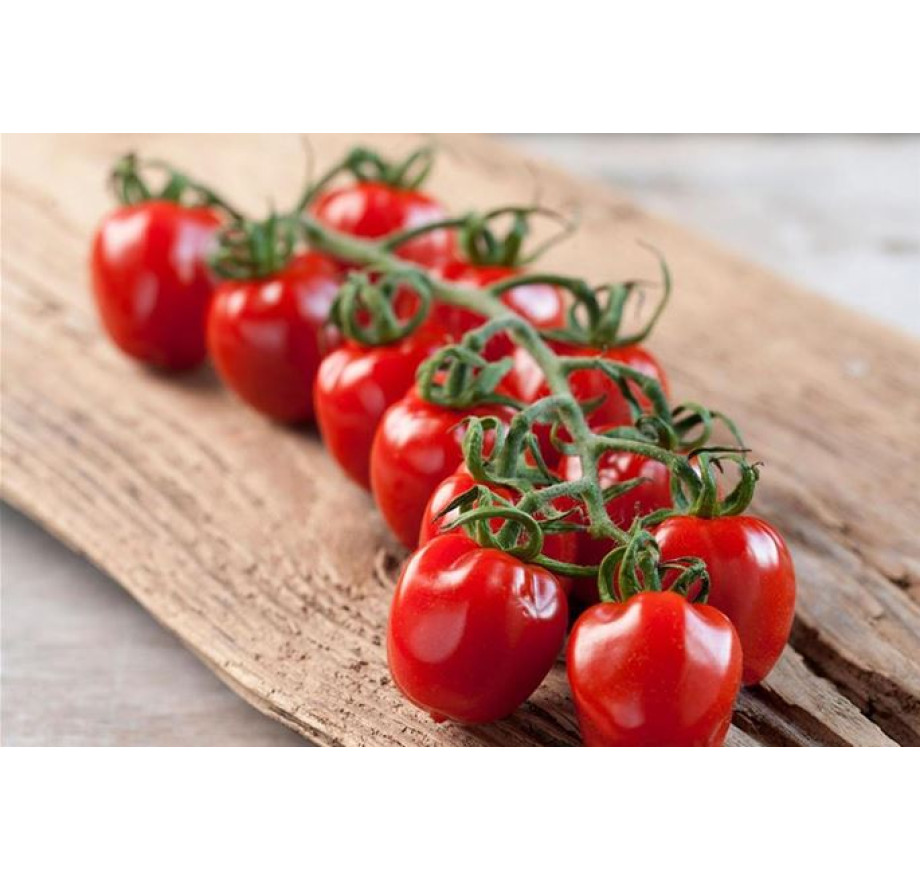 Rajčiny cherry 'Royal Dreams®Strabena´, prirodzene rezistentné ...