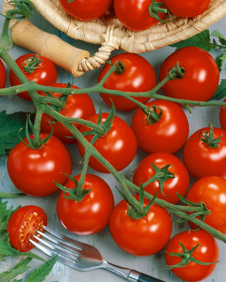Rajčiny cherry Manolo® Red (Picolino F1), prirodzene rezistentné ...
