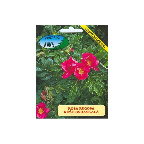 Rosa rugosa , Ruža vráskavá, bal. 30 sem.