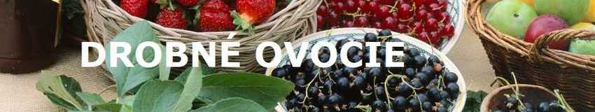 Drobné ovocie