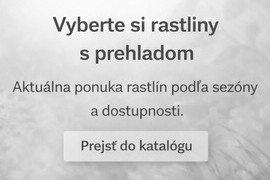 V&yacute;ber z katal&oacute;gu